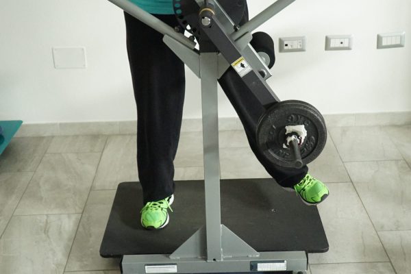 Multi Hip Machine Multi Hip Machine